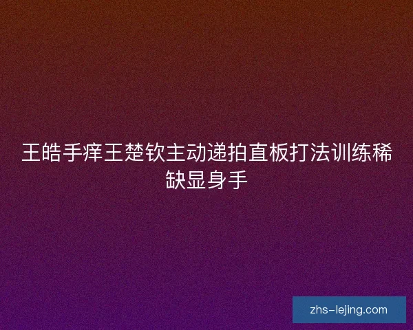 王皓手痒王楚钦主动递拍直板打法训练稀缺显身手