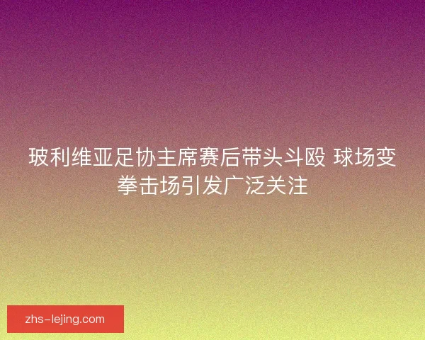 玻利维亚足协主席赛后带头斗殴 球场变拳击场引发广泛关注